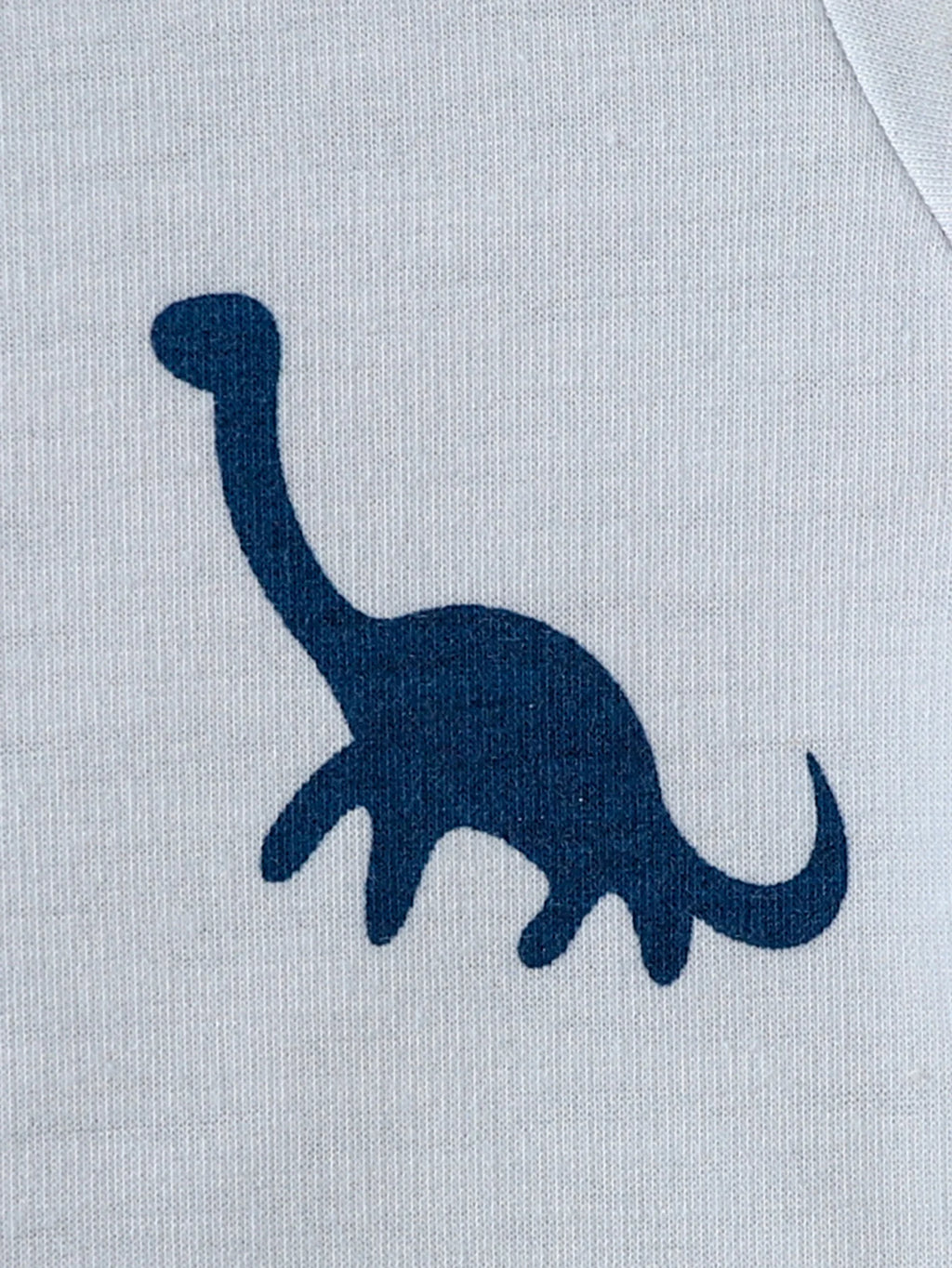 Baby & Toddler Dinosaur Sweatshirt and Trouser Set
